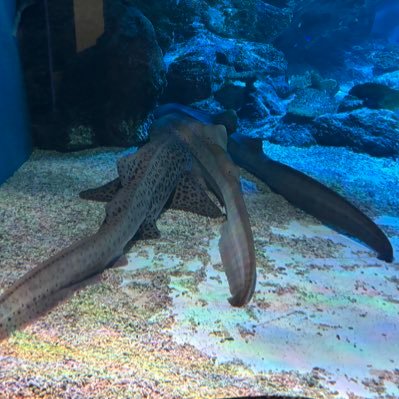 ZvxG7TPb2d59710's profile picture. Twitter入れ直し できっこないをやらなくちゃ