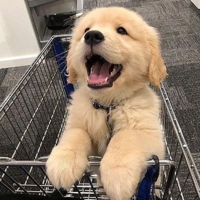 leaksftn's profile picture. 