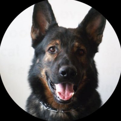 jake_lagrone234's profile picture. 