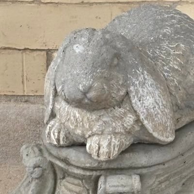 lasre's profile picture. everything is set in stone