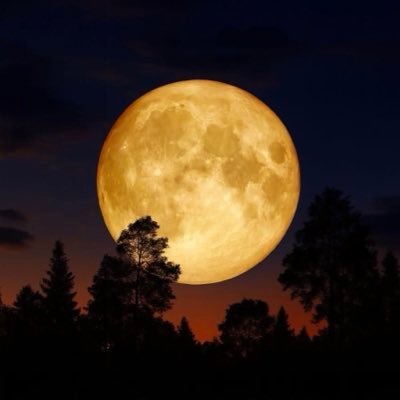 DodeauxM's profile picture. 