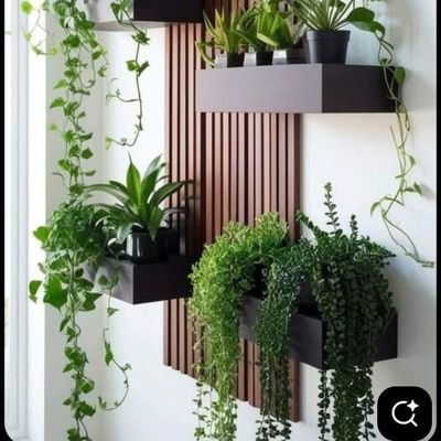 RealHasanMy's profile picture. Certifed Construction Trainer| Digital Marker learner | Crypto curious|