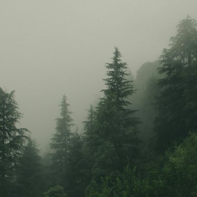 mateodmt's profile picture. 