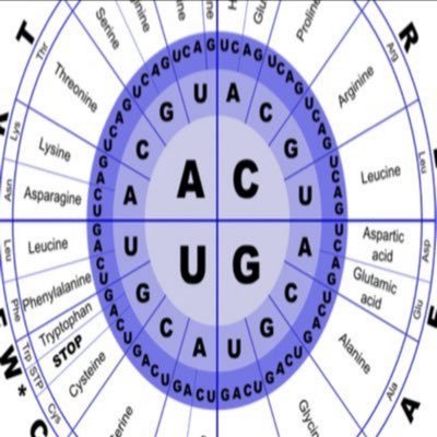 Trimster3's profile picture. Fascinated by transformative power of new therapies to treat intractable maladies. Not investment advice. #SlavaUkraïni #AmYisraelChai #BringThemHomeNow