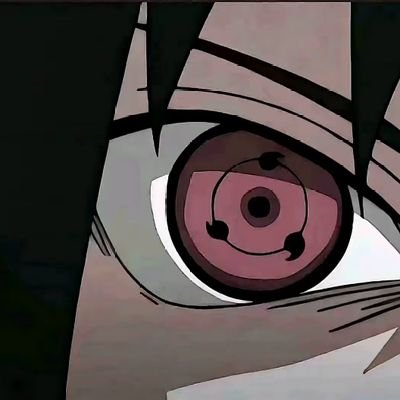 BeiLi43801's profile picture. 