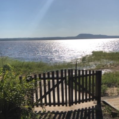 MartinRondon's profile picture. 