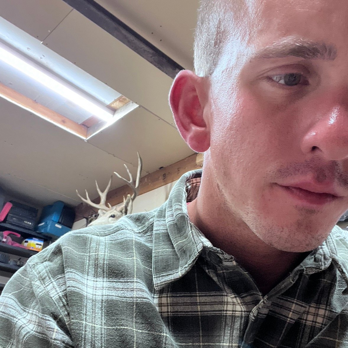 timbytool's profile picture. 