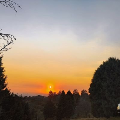 zara4920's profile picture. 