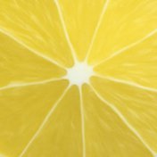 lemon's profile picture. UX designer humanizing AI-powered products. Lemon enthusiast. Dog show photographer.  Advocate for creativity and simplicity in design.