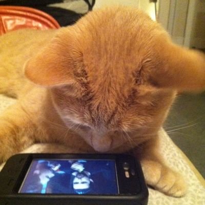 smormulover's profile picture. maddy is my daddy 💦 if you want my priv ask in dms 💦 -17 dnf (current oomfs exempt)