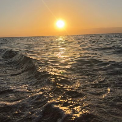 XXOSLJ's profile picture. nothing to say