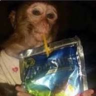 y2ns_68's profile picture. on peut sortir sinj de forêt mais on peut pas sortir forêt de la sinj | #nvmsfr