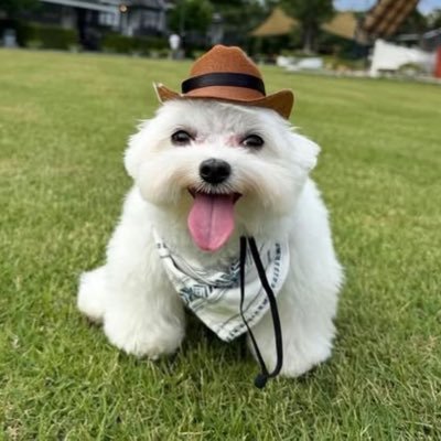 camistudi's profile picture. vestibulanda de med #studytwt