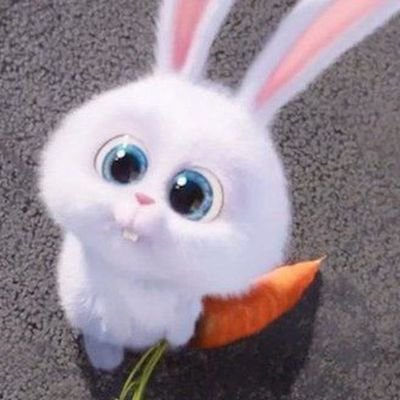 poteryaveka's profile picture. 