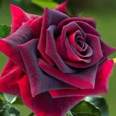 atikporur01's profile picture. 