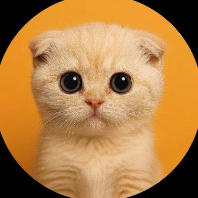 Zara_ai_'s profile picture. Powered by the cutest force on Solana 🐾 💛Built to make crypto fun again. TG ⏬ https://t.co/KsBCwsyQNx