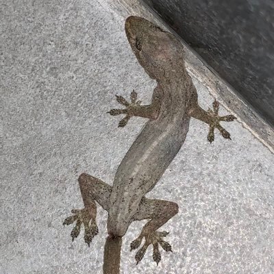 goodgud_taime's profile picture. đói