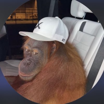 eljefcrypto's profile picture. In the Trenches.