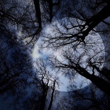 outtheregroup1's profile picture. 