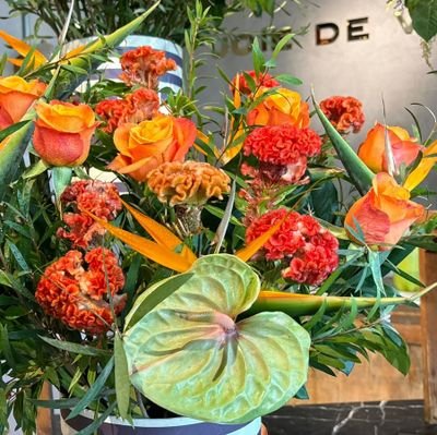 amal11_aa's profile picture. 