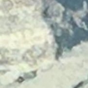 wom9a's profile picture. ?