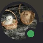 Rovenaraio's profile picture. 