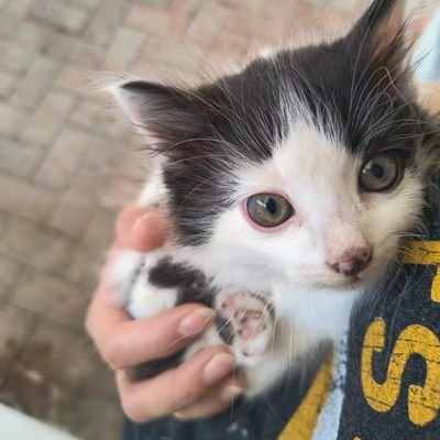 CasttleJos's profile picture. Nunca olvidaré el fuerte abrazo que recibí de mi madre, el día de mi boda.