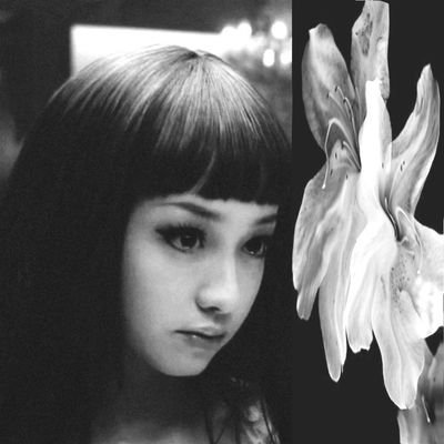 tomatotit's profile picture. Hellenism            Buddhism            &             loa   .    333