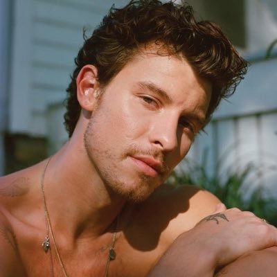 mendesIights's profile picture. *shawn mendes plays “Who I am” softly in the background