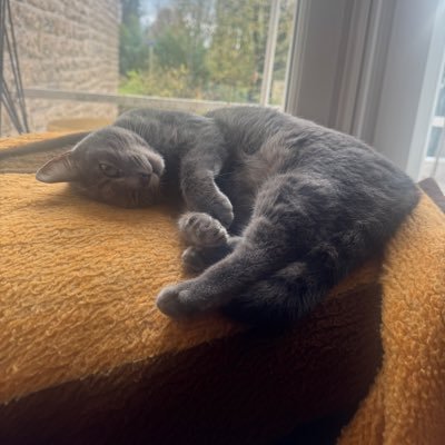 findumois's profile picture. ragazzo solo ragazza sola