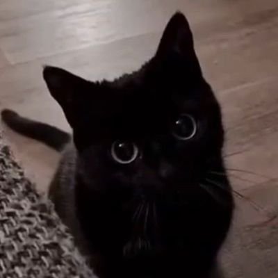 doorknobLicker0's profile picture. 22. licker of doorknobs. enjoyer of things. dreamer of orbs.