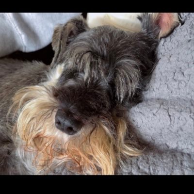 YikesOnBikes20's profile picture. what do you mean I need to lower my caffeine intake? what if I lose my ✨sparkle✨? 23