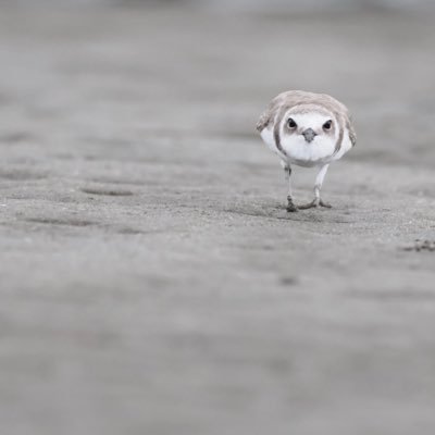 CupKicking's profile picture. rethink