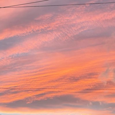 ywot9l's profile picture. 📮しません🗣見る専🔚