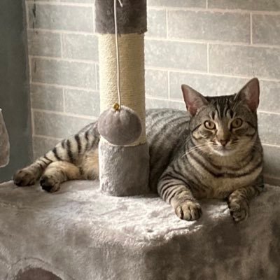 sammylamb5's profile picture. Just an awakened person trying to get through this madness we call life and to find like minded people that see through all the lies...no dm’s please..😜✌❤