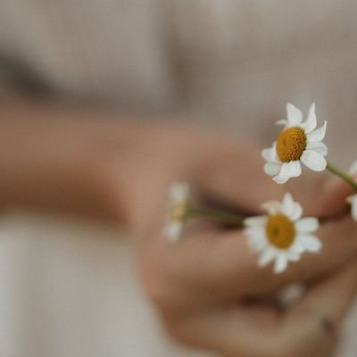 rakelblume's profile picture. Pieces 🌿