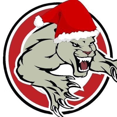 PJHLPanthers's profile picture. Member of @thePJHL. Committed to moving players on to a higher level of junior hockey. Games are streamed exclusively on @FloHockey!