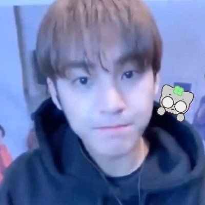 theswimmingfool's profile picture. mingyu getting passed around by jihoon and wonwoo, send tweet