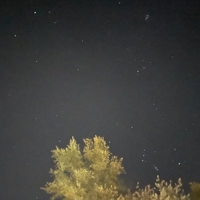 DavinM0mtt's profile picture. 