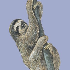 MSugma71483's profile picture. 