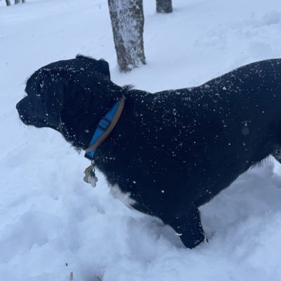 tjay5112's profile picture. tj5112, @sniperstm_