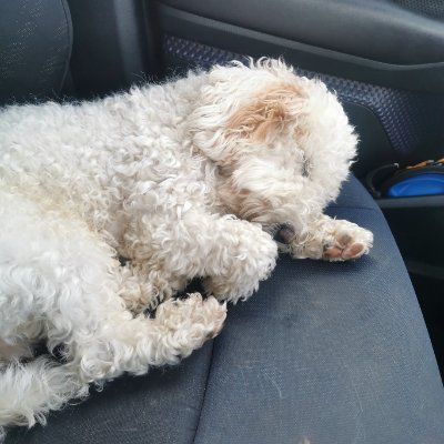 EdiePeters13's profile picture. Plymouth Argyle Supporter 
Snow Fan.

Golfer.Handicap 8.4

Dog lover.

Part-time sports trader.

Enjoy the South Downs
@SouthDownsWayNT