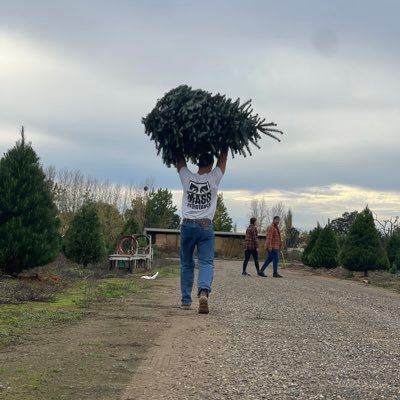 OriginalPucho's profile picture. I'd rather dance than walk