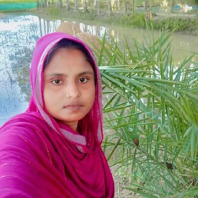 SobujKhan296's profile picture. 