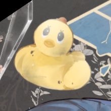 kinmokusei0503's profile picture. 