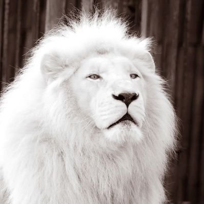 GangMaster53965's profile picture. Desi Nationalist