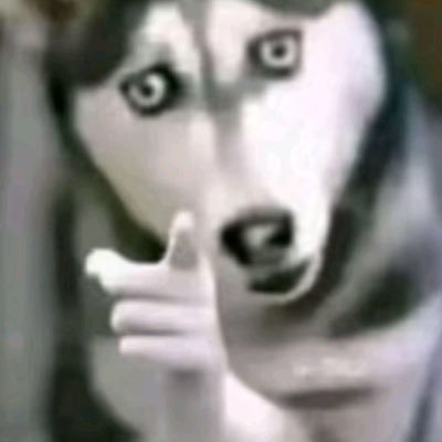 nahthunderpep76's profile picture. 