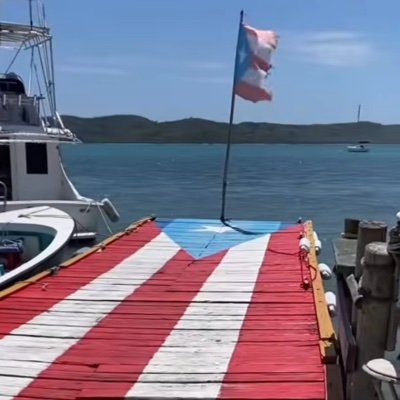 adavaco's profile picture. Freedom of speech Advocate/ I block trolls BLM💛🖤❤️ 🇵🇷🇺🇸🇨🇦🏳️‍🌈🇺🇦🌈StateHoodForPR🇵🇷🌴🙏🌱Taino Tribe 🇵🇷🌴