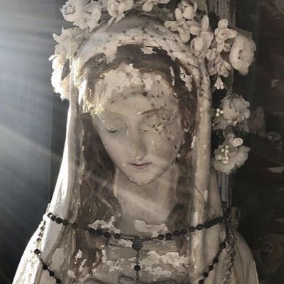 elskr's profile picture. patron saint of switchblade fights