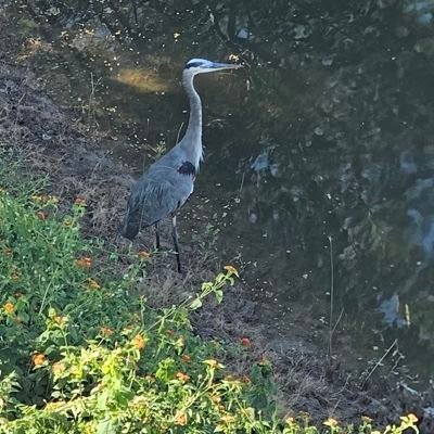 Freedom90382413's profile picture. 🇺🇲❤🇺🇲❤🇺🇲
Patriot, no NW0, no S0cialism.  #DefundWEForum & #WHO #ALM #ProLife
#Resist #DoNotComply
#PureBlood

Boujee❤Texan!!